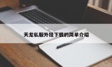 天龙私服外挂下载的简单介绍