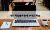 冬瓜天龙还开着吗:小冬瓜天宝