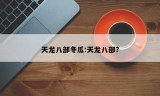 天龙八部冬瓜:天龙八部?