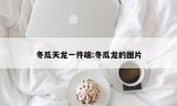 冬瓜天龙一件端:冬瓜龙的图片